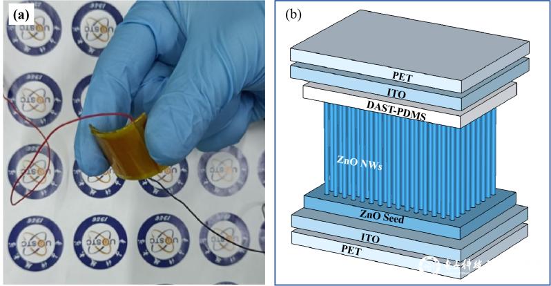 yl6809永利检测中心